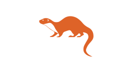 Meervleermuis is een onderdeel van de Zoogdiervereniging